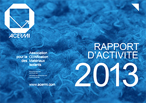 Rapport d'activité 2013